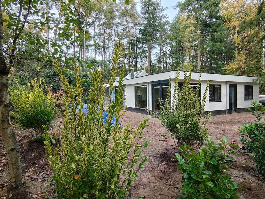 Kindvriendelijke Bungalow In Het Bos Bij Zwemmeer. Vilsteren Exterior photo